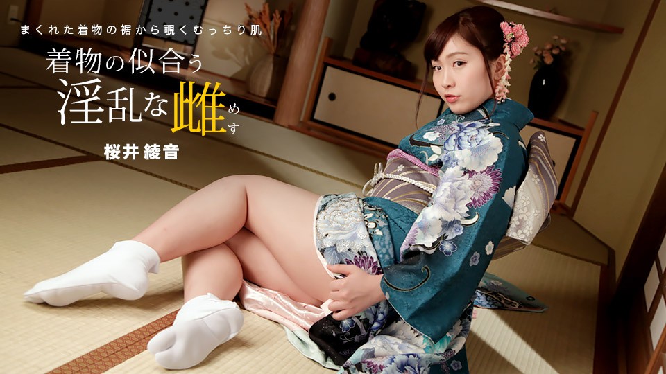 JAV HD Nasty Female who Looks Good in Kimono - Ayane Sakurai 