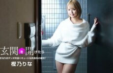 JAV HD When you open the front door-a cute carnivorous slut! ~ Rina Kashino 