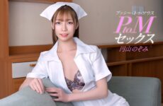JAV HD P2m Sex With Nozomi Maruyama 1Pondo 011126_001 P2M 丸山希とセックス