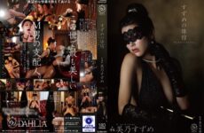 JAV HD DLDSS-519 Suzume No Oyado Mino Suzume