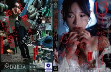 JAV HD DLDSS-524 The 13th Day of Abstinence: A Psycho Boss’s 13-Round Creampie “Overtime” Horror Show – Chiharu Mitsuba 